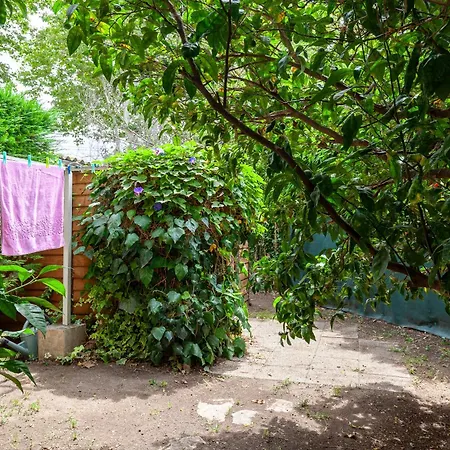 Dans Cadre De Verdure Apartment La Seyne-sur-Mer