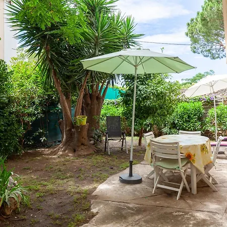 Dans Cadre De Verdure La Seyne-sur-Mer