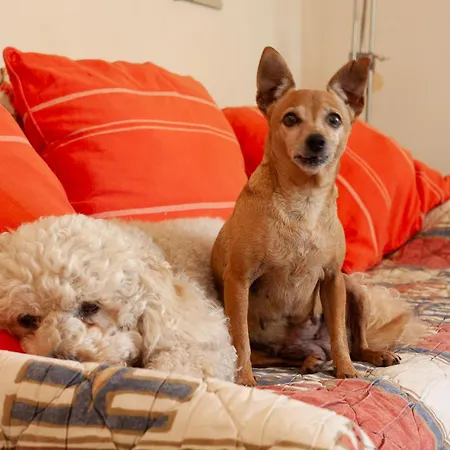 Appartamento Dans Cadre De Verdure *